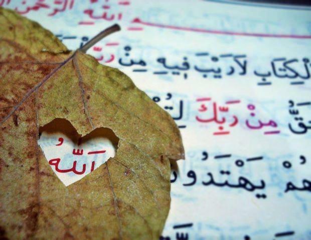 Jasina deklamācija arābu valodā