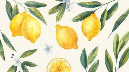 Labākās receptes ar citronu! Vienkāršākā citronu deserta recepte