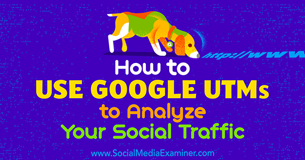 Kā izmantot Google UTM, lai analizētu Tammy Cannon sociālo trafiku sociālajos tīklos Examiner.