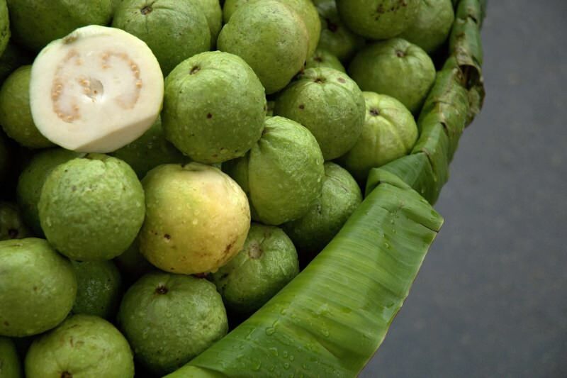 nenogatavojušies guavāna augļi 
