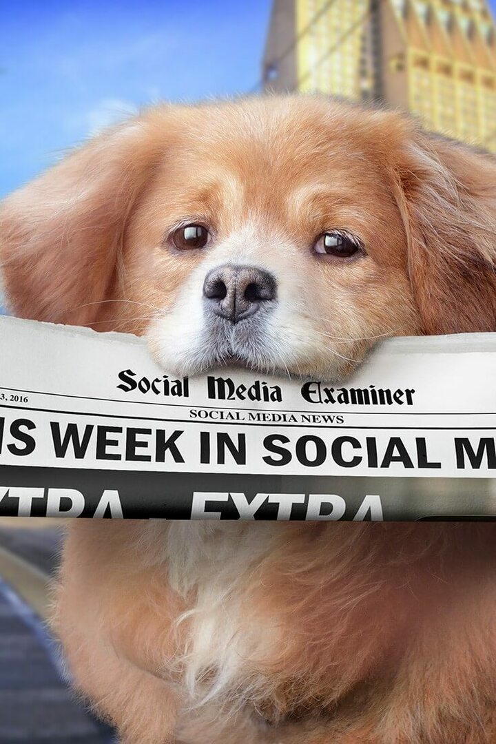Facebook Live izvērš mērķauditorijas atlasi: šonedēļ sociālajos medijos: sociālo mediju eksaminētājs
