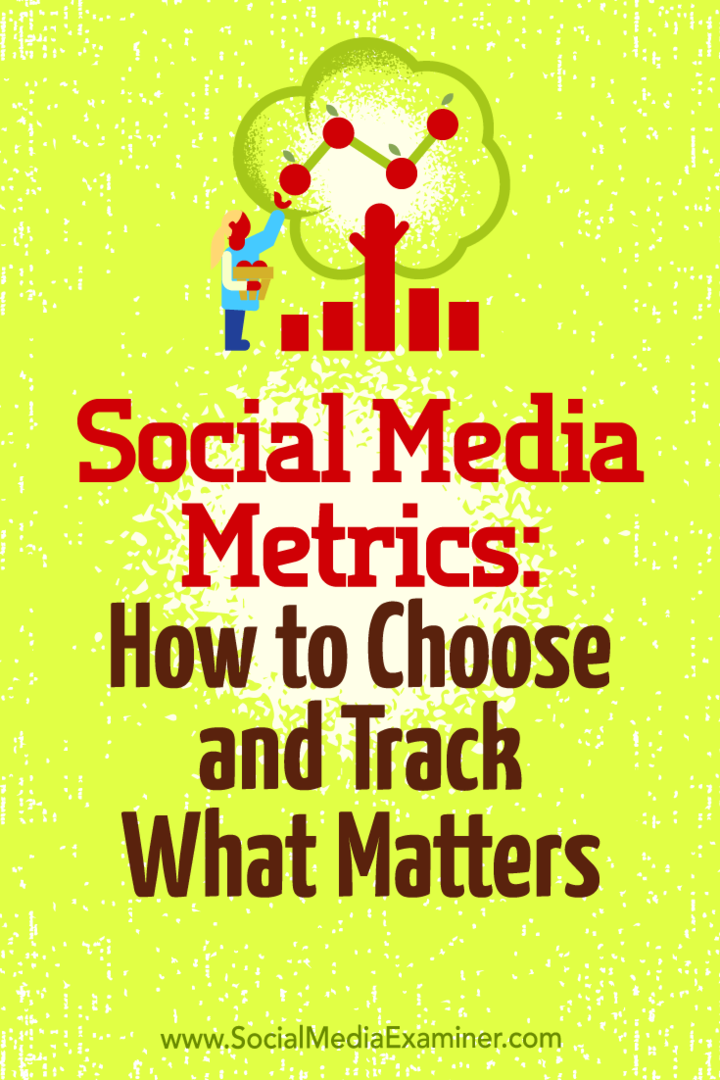 Sociālo mediju metrika: kā izvēlēties un izsekot Eleanor Pierce svarīgos jautājumus sociālajos tīklos.