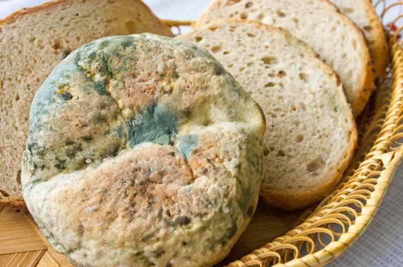 Veidi, kā novērst maizes novecošanu un sapelēšanu