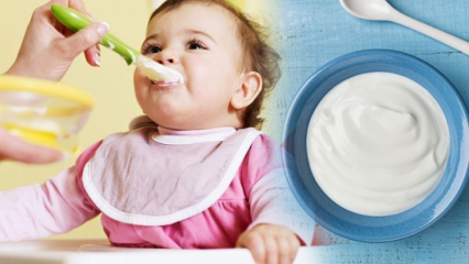 Kā pagatavot jogurtu mazuļiem? Mājās gatavotu augļu jogurtu receptes mazuļiem