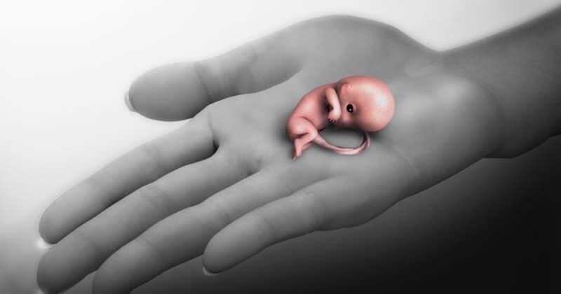 Kas ir aborts? Simptomi aborts grūtniecības laikā