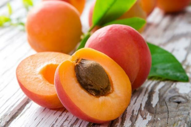 Taukus dedzinoša aprikožu izārstēšana