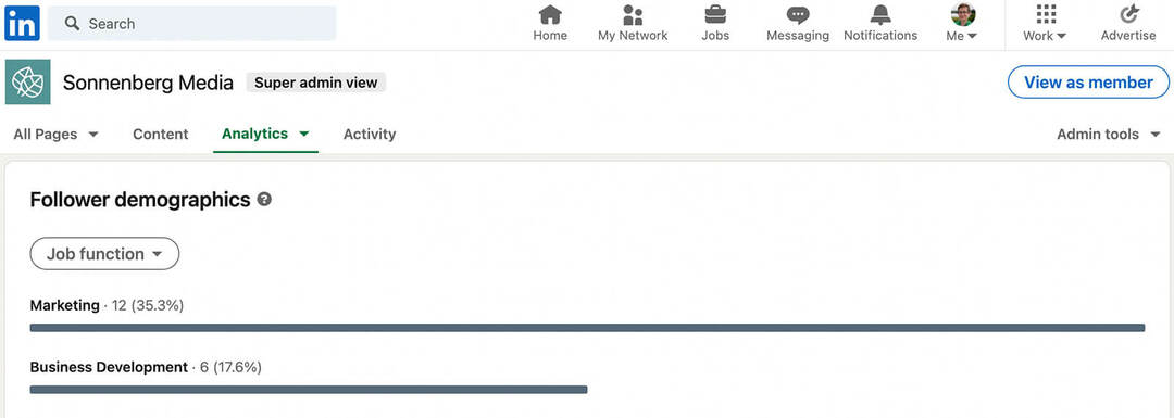 kā-to-do-an-annual-social-media-audit-check-audience-metrics-linkedin-analytics-follower-industry-seniority-job-function-sonnenbergmedia-example-9