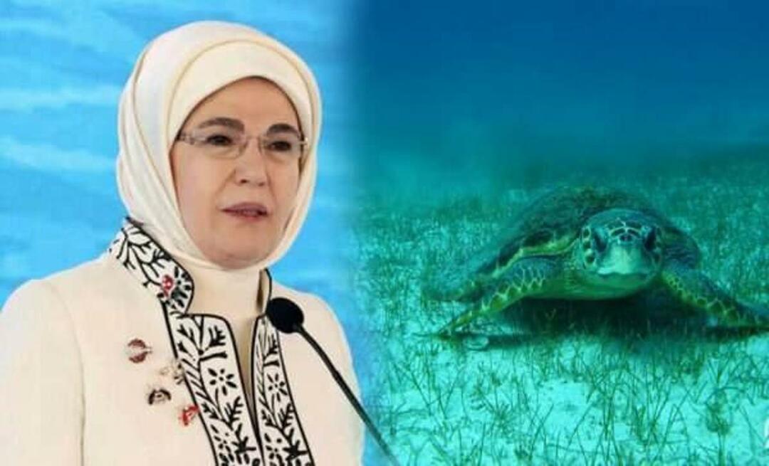 Emine Erdogan "jūras bruņurupucis": "Kamēr mēs tos aizsargāsim, viņi turpinās dzīvot"