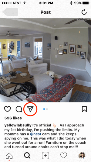 Ja Nest vēlētos sazināties ar šo Instagram lietotāju, lai saņemtu atļauju izmantot viņu saturu, viņš varētu sākt saziņu, pieskaroties tiešās ziņas ikonai.