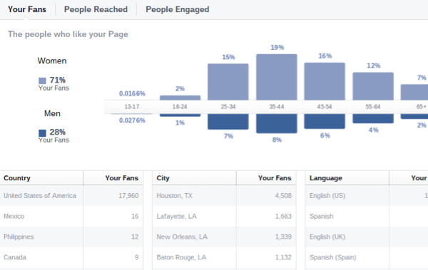 facebook ieskats auditorijas demogrāfijā