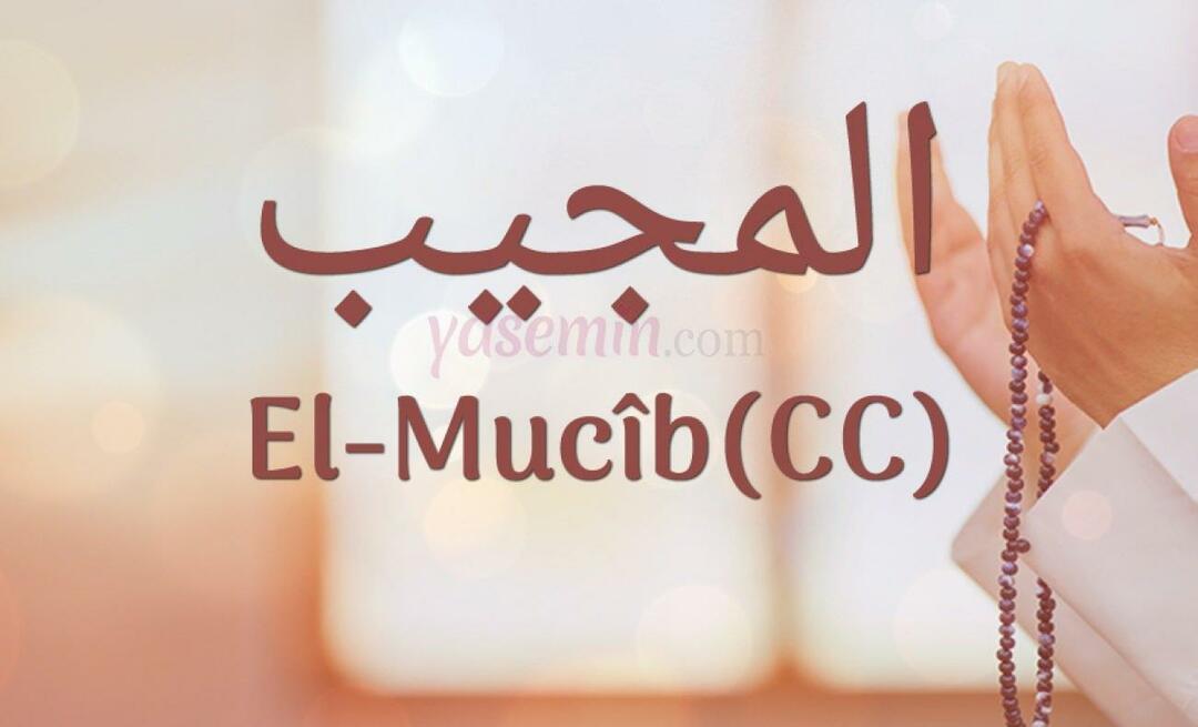 Ko nozīmē Al-Mujib (cc) no Esma-ul Husna? Kāpēc tiek izpildīts Al-Mujib dhikr?