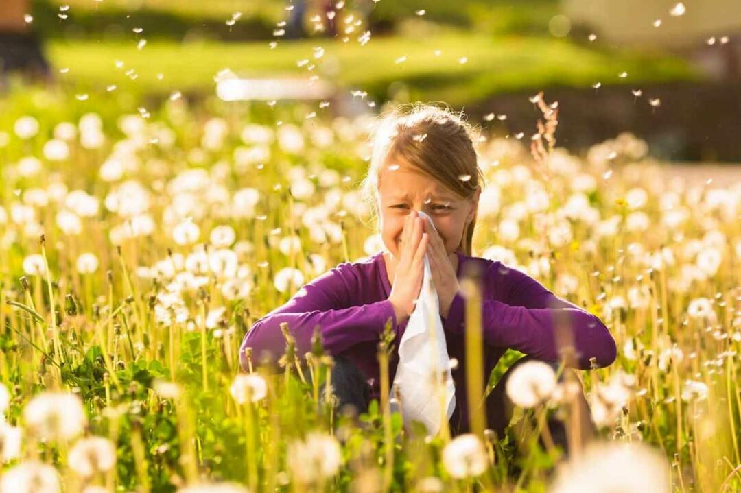 Kas jāņem vērā, lai pasargātu bērnus no sezonālām alerģijām