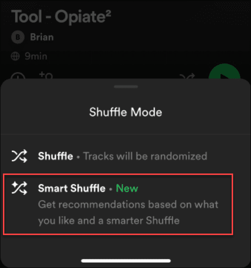 labot Spotify Shuffle netiek jaukta