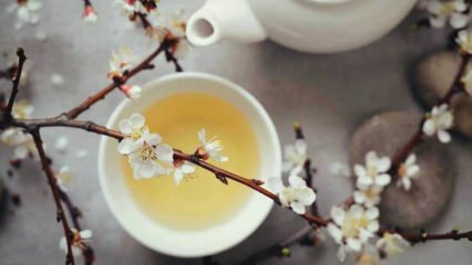 Novājēšana ar balto tēju