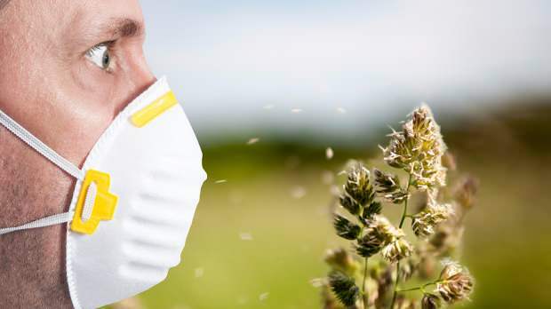 pavasara alerģiju izraisa ziedputekšņi, mājdzīvnieki, paaugstināta temperatūra un putekļi