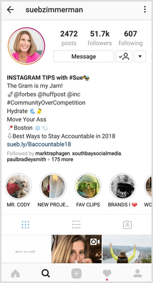 Instagram vairāku stāstu profils