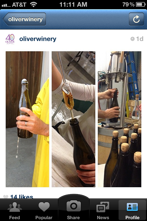 oliver vīna darītava