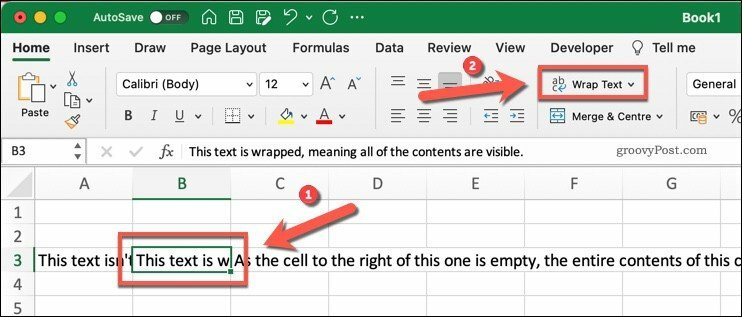Microsoft Excel poga Wrap Text