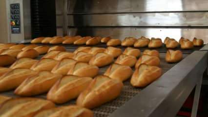 Eksperti brīdināja: 10 minūtes lieciet maizes 90 grādu krāsnī