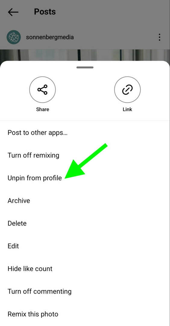 how-to-instagram-atpin-posts-profile-grid-sonnenbergmedia-step-2