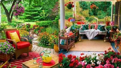 Ziedi, kurus varēsi izmantot savā dārzā un balkonos rudenī!