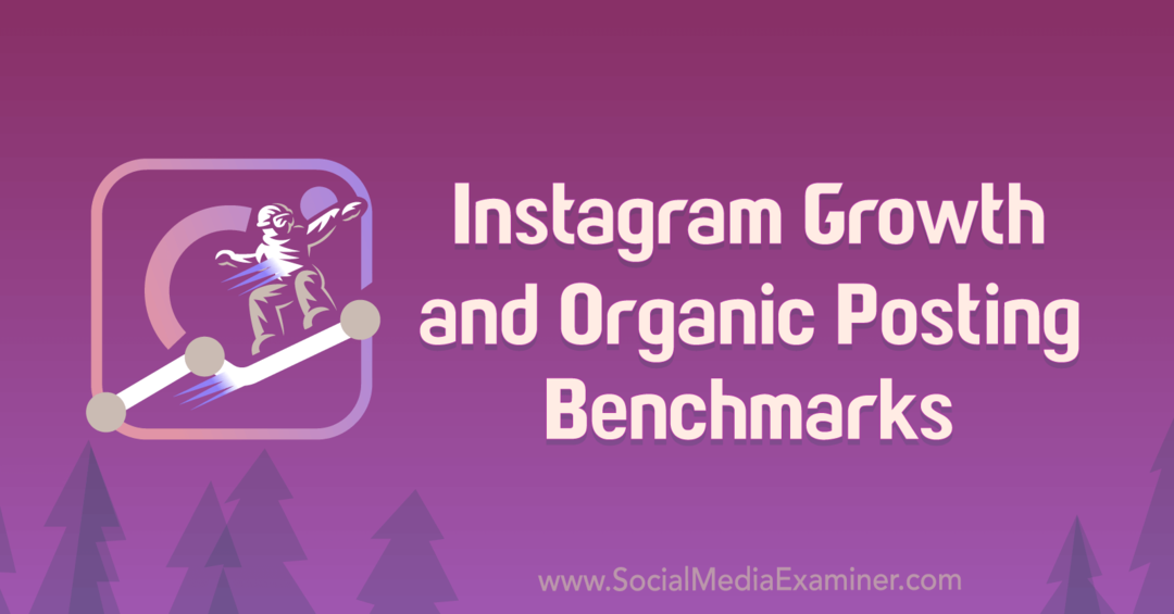 Maikla Stelcnera Instagram izaugsmes un organiskās publicēšanas kritēriji. 