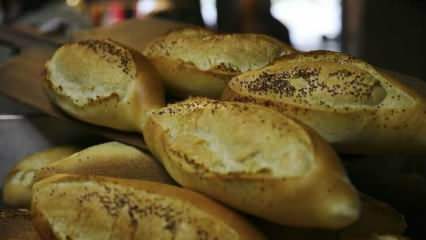 Kā tiek vērtēta novecojusies maize? Receptes, kas pagatavotas ar mīcītu maizi