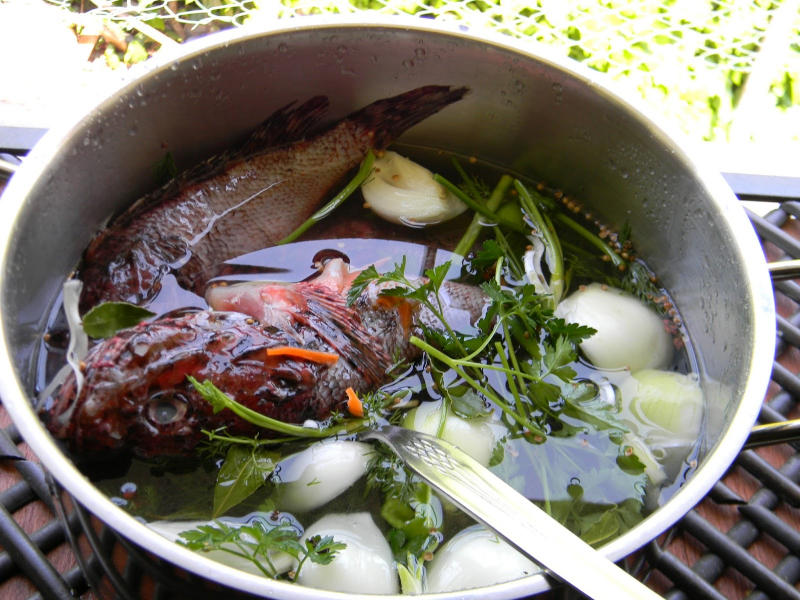Kā pagatavot vienkāršāko skorpionu zivju zupu? Padomi skorpionu zupai