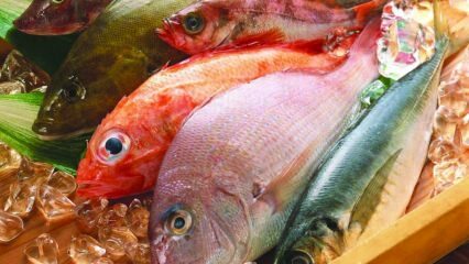 Zivju ietekme uz imunitāti! Kādas ir zivju priekšrocības? Kā patērēt veselīgākās zivis?