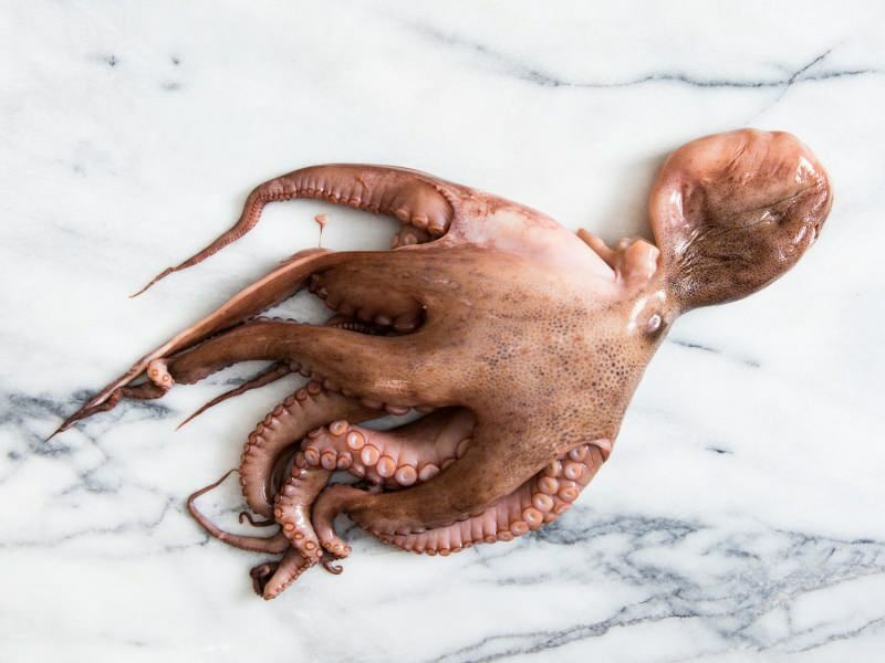 Kā tīrīt un gatavot astoņkājus mājās? Vienkāršākā astoņkāju gatavošanas tehnika