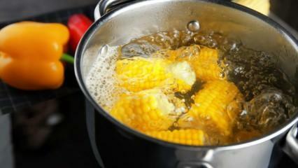 Kā pagatavot visvieglāk vārītu kukurūzu? Vārītas kukurūzas šķirošanas metodes