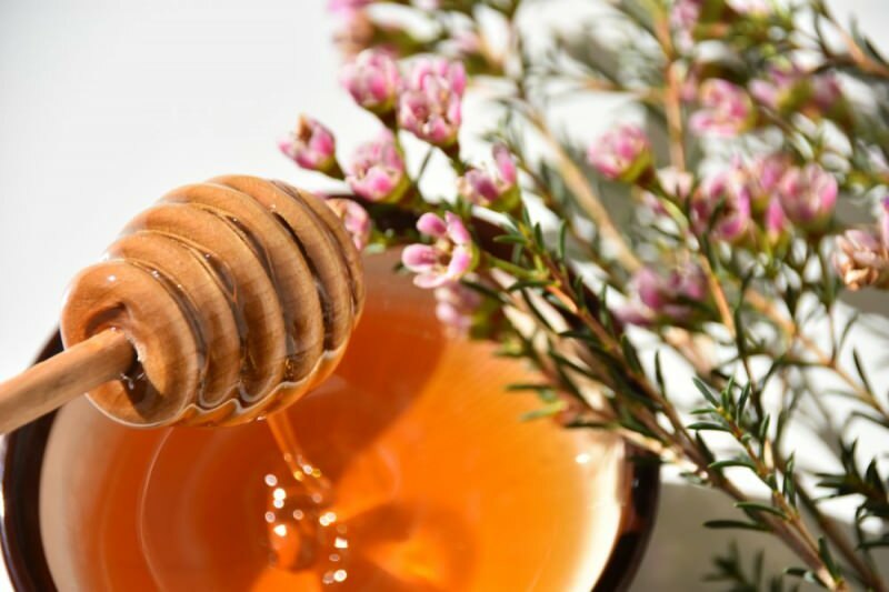 manukas medus, kas izgatavots no manukas zieda