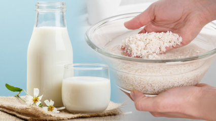 Kā pagatavot taukus dedzinošu rīsu pienu? Novājēšanas metode ar rīsu pienu