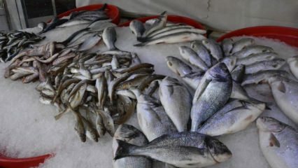 Kuras zivis vajadzētu patērēt oktobrī un kādas ir to priekšrocības?