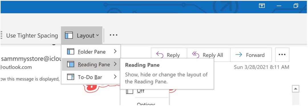 Microsoft Outlook lasīšanas rūts