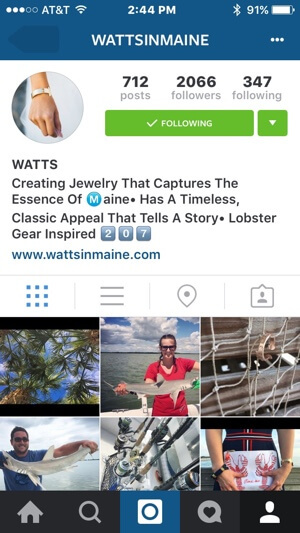 instagram profila zīmola piemērs