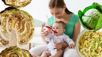 Vai mazuļi ēd kāpostus? Kurā mēnesī mazuļiem jādod kāposti? Kāpostu priekšrocības zīdaiņiem