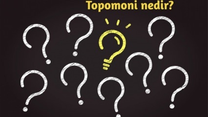 Kas ir topomonija, ko tā pārbauda? Kādas ir topomoniskās zinātnes priekšrocības? 