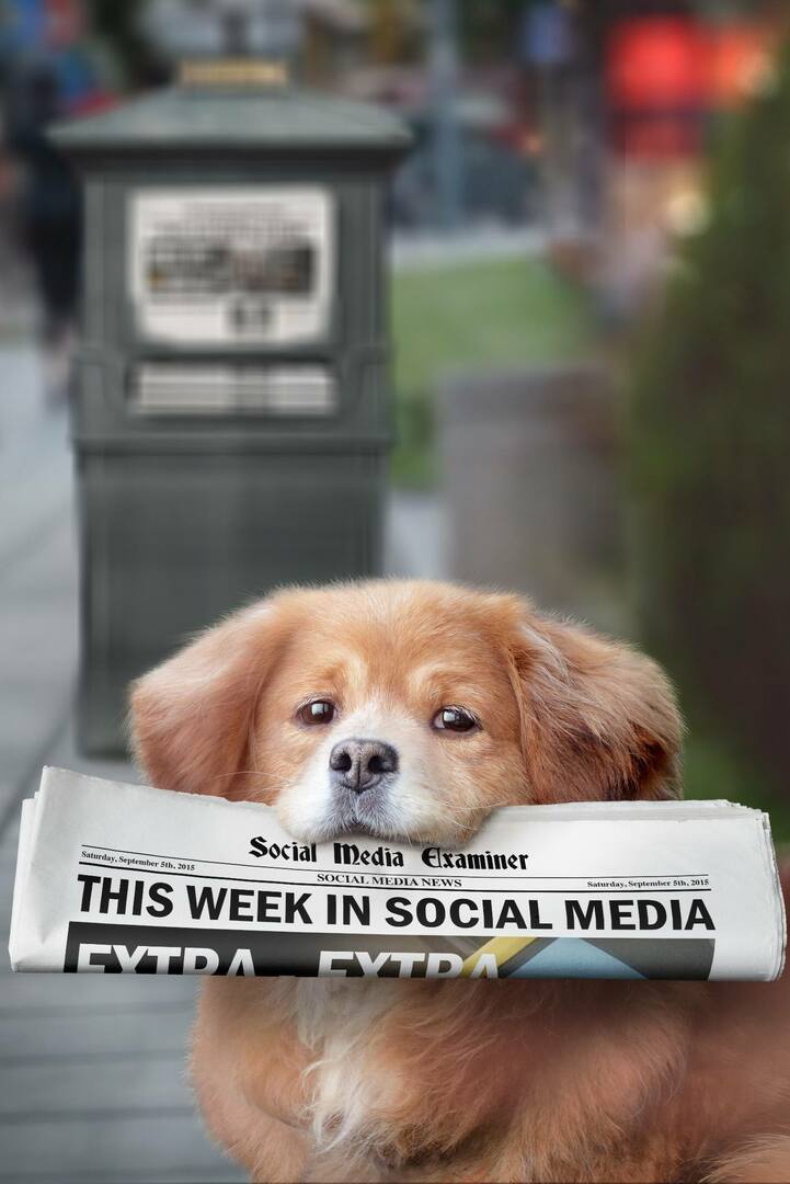 Meerkat iepazīstina ar Live Hashtags: šonedēļ sociālajos medijos: sociālo mediju eksaminētājs