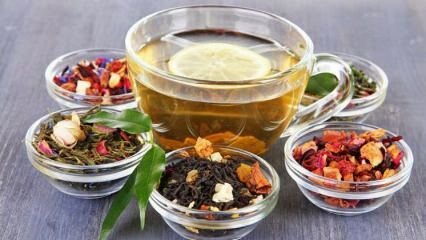 Vai jasmīna tēja zaudē svaru?