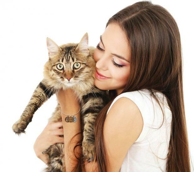 Kā kaķi parāda savu mīlestību
