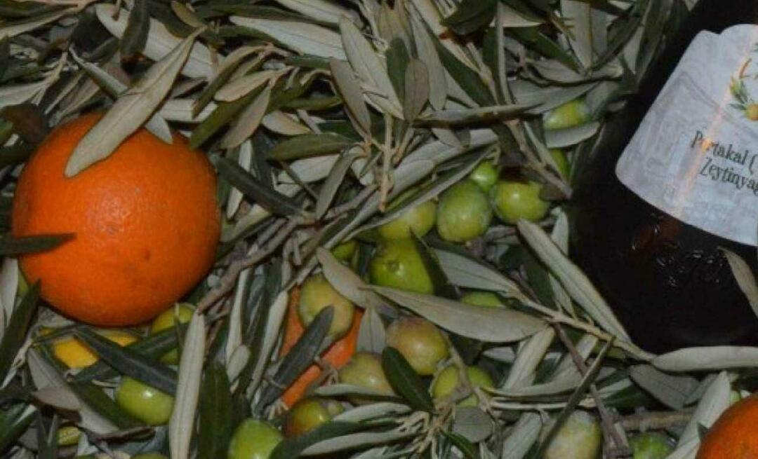 Uzņēmējas no Balikesiras ražoja apelsīnu olīveļļu!