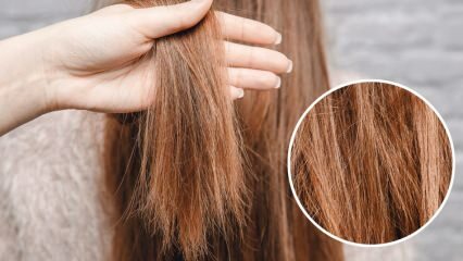 Kas tiek darīts ar dedzinošiem matiem no vidus? Kā jāuztur apstrādāti mati?