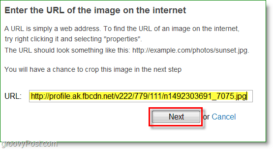 Gravatar ekrānuzņēmums - ievadiet attēla URL