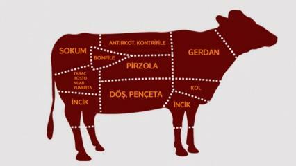 Kādas ir liellopu gaļas daļas? Kura gaļa tiek izgriezta no kura reģiona?
