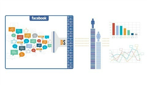 Facebook tēmas dati