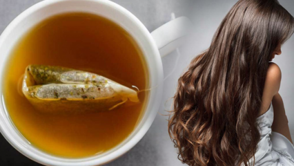 Kādas ir zaļās tējas priekšrocības matiem? Zaļās tējas ādas maskas recepte