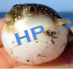 HP bloatware palēnina jūsu datora darbību, ļauj to labot