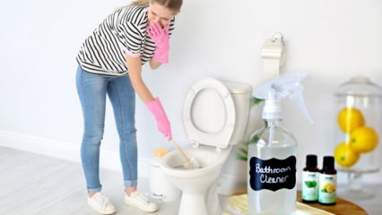Kā pagatavot tualetes izsmidzināšanu mājās? Padomi dabīgā tualetes tīrītāja pagatavošanai