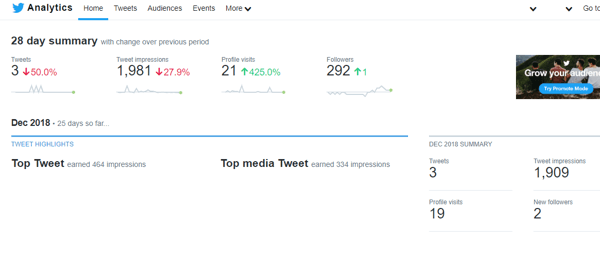 Twitter Analytics 28 dienu kopsavilkuma piemērs.